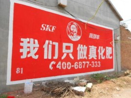 雅安刷墙广告”蕴含了时代命题
