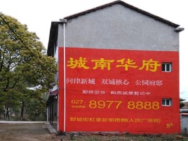 雅安百分之90的人都不了解的农村墙体广告