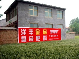 雅安如何让墙体广告展现最大化效果