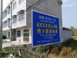 雅安墙体广告质量分析